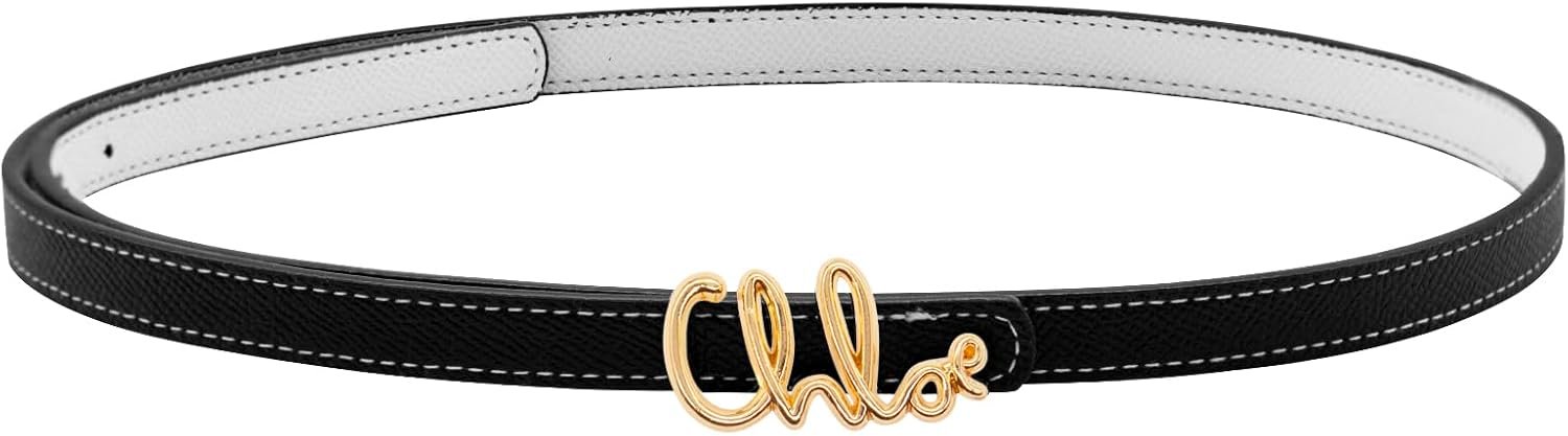 LJCZKA Faux Hide Waist Strap Double Sided for Ladies, Adjustable Hip Band with Golden Clasp for Daily Outfit Casual Wear