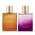 The Sweet Spot by BellaVita Luxury | 2x100ml Perfumes | Honey Oud & Date Woman | Perfume for Men & Women | Long Lasting Fragrance | EDP