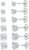 18K White Gold Plated 4 Pong Round Clear Cubic Zirconia Stud Earring Pack of 6 Pairs (6 Pairs)